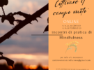 Coltivare il campo vuoto – incontri di Mindfulness